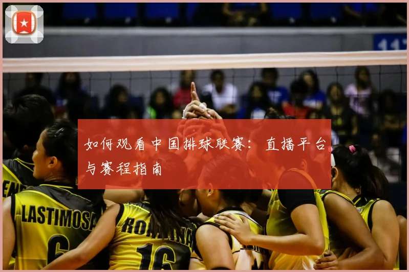 如何观看中国排球联赛:直播平台与赛程指南