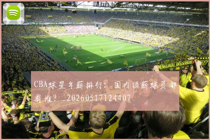 CBA球星年薪排行:国内顶薪球员都有谁?_20260517124407