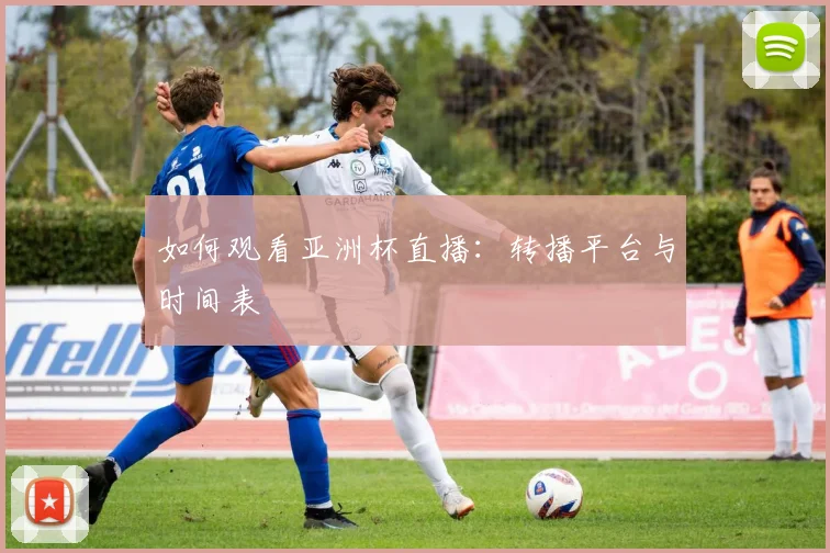 如何观看亚洲杯直播：转播平台与时间表