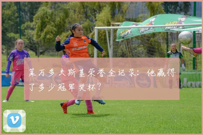 莱万多夫斯基荣誉全记录:他赢得了多少冠军奖杯?